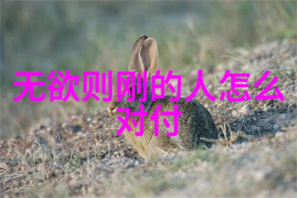 关于现代社会中的生活导师新道家的代表人物探讨