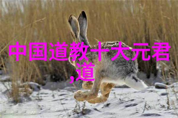 书法鉴赏结课论文中华古籍艺术的书法魅力探究