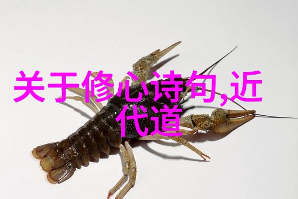 道教名人大全-悟道者道教史上最具影响力的宗师与高僧