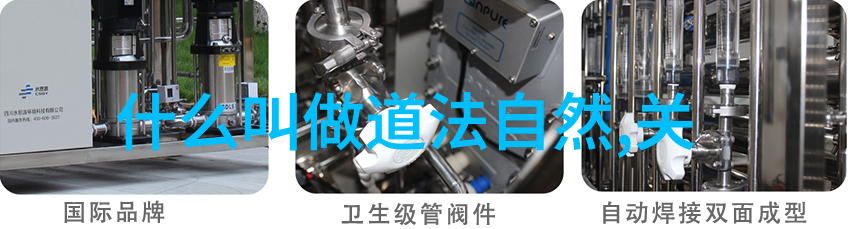 境随心转生活的智慧与灵活应变深度解读