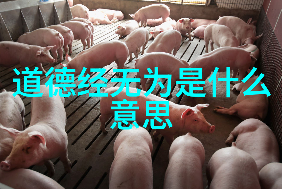 文明之源儒释道三大思想体系的代表人物探究