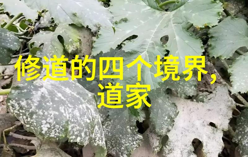 人生感悟 每日禅语 - 明心见性智慧的灯塔在人生的海洋中