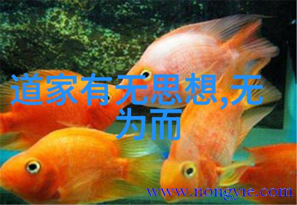 道德之河儒家与道家的涓滴对话