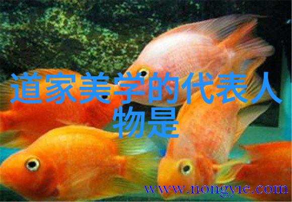 娇妻被朋友呻吟的秘密生活
