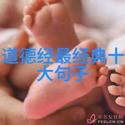 庄子中的智慧解读道家的哲学精髓