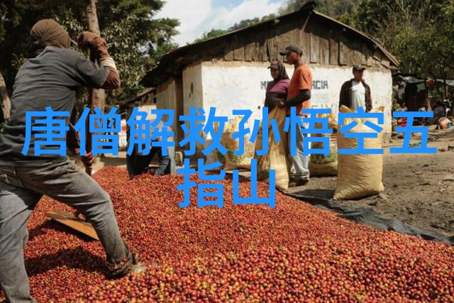 道家心经全文-道家智慧的源泉深入解读道德经全文