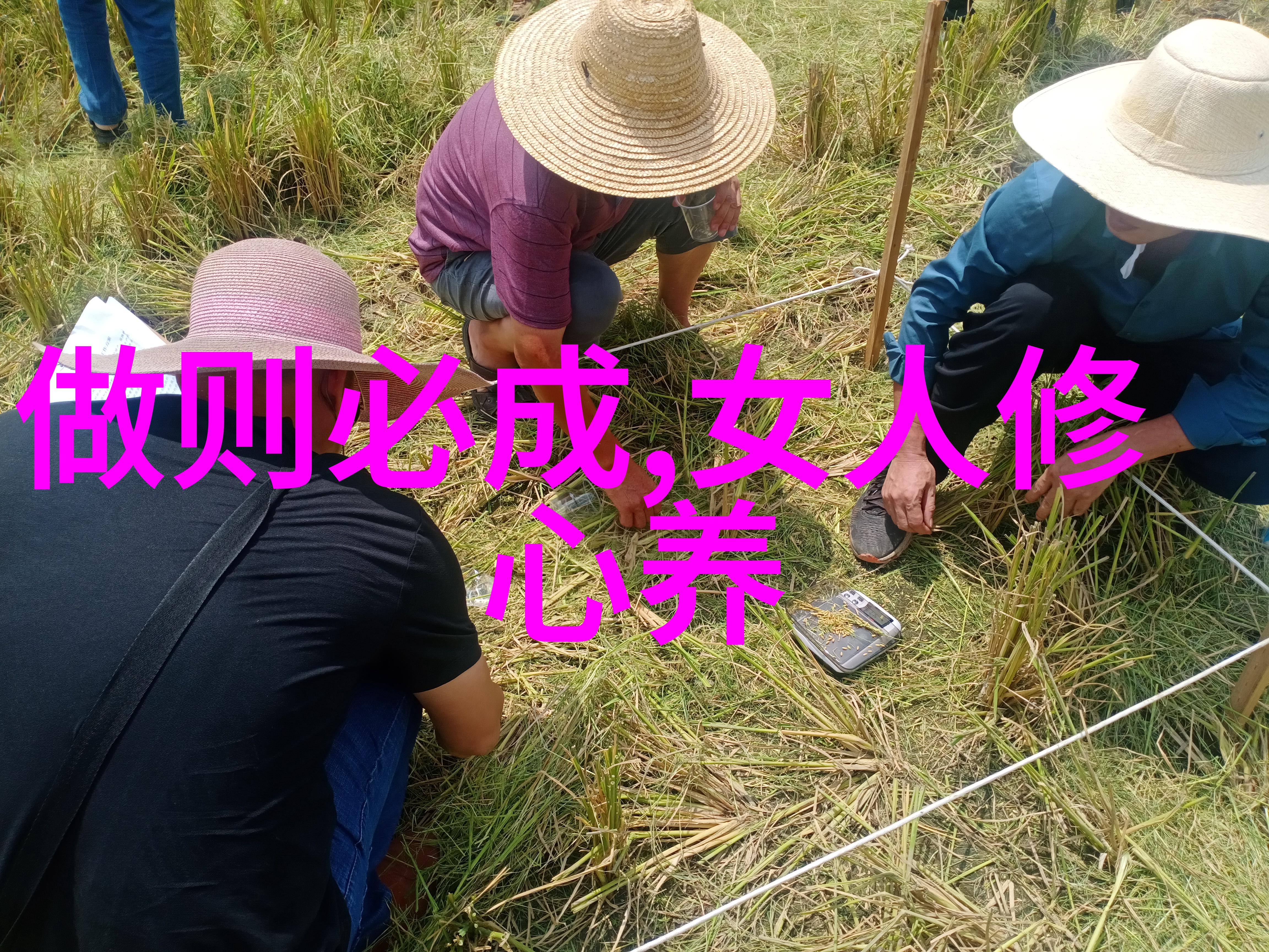奇门真言的秘密与警示