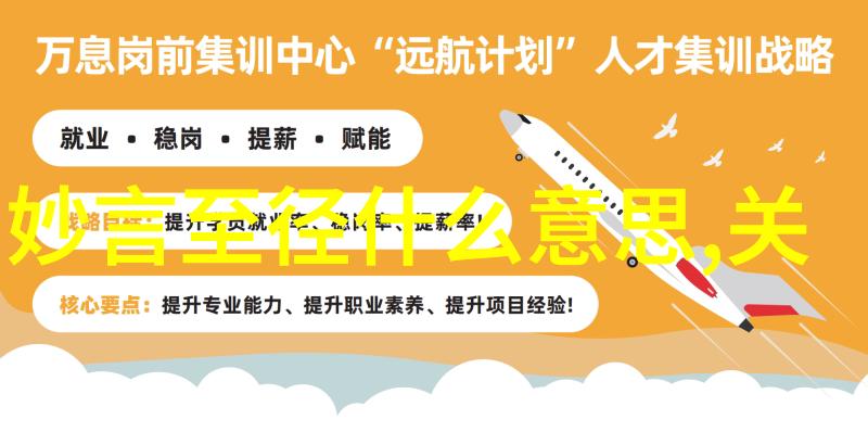 无所住而生其心无为而无不为探索生命的真谛与行动之道