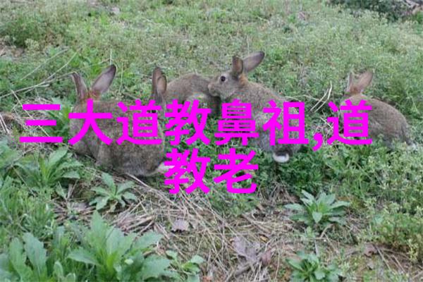 道教三大学说是如何形成的
