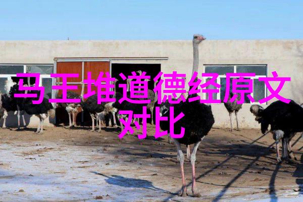 对于那些尚未醒来的普通人他们有什么样的指导和启示