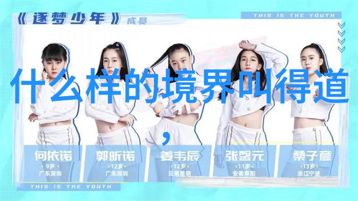 张载宋明理学的先声与道家思想的融合