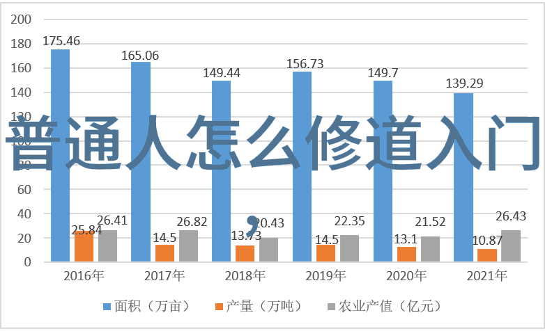 道士修行的终极秘密探索道家修炼的深层含义