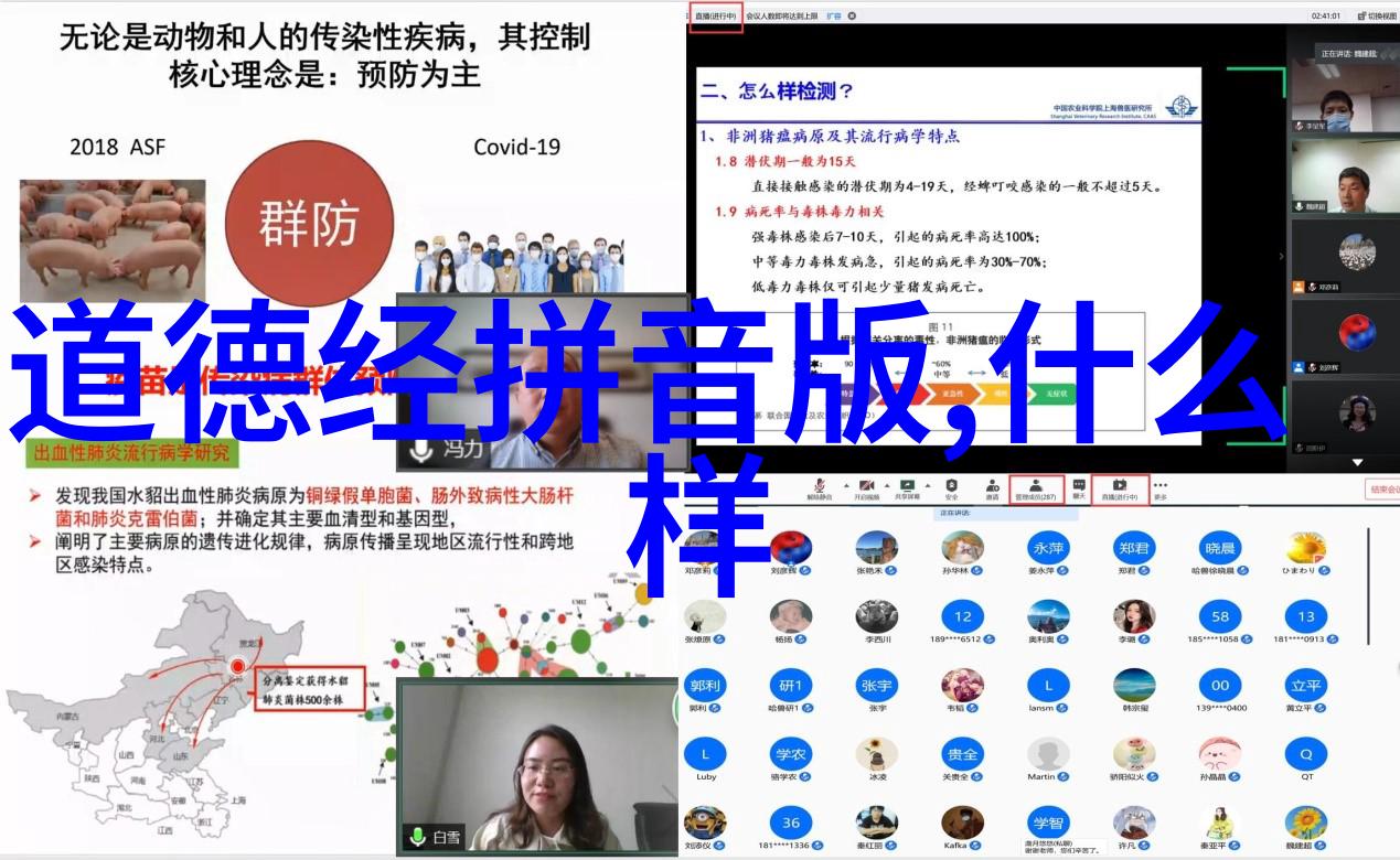 天人合一的生活艺术内心平和与世界和谐的追求