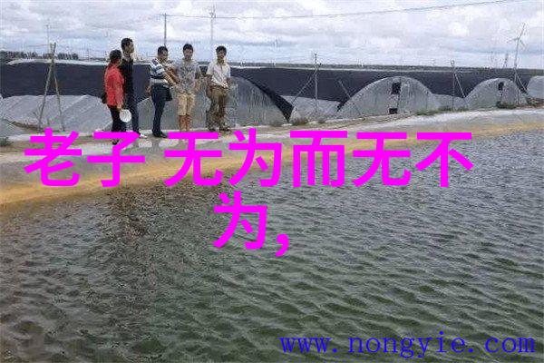 道家的经典书籍中提到过哪些关于呼吸练习的秘密技巧