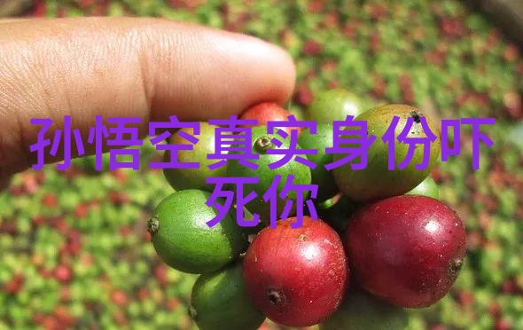 中国古典哲学史纲要从孔孟到老庄
