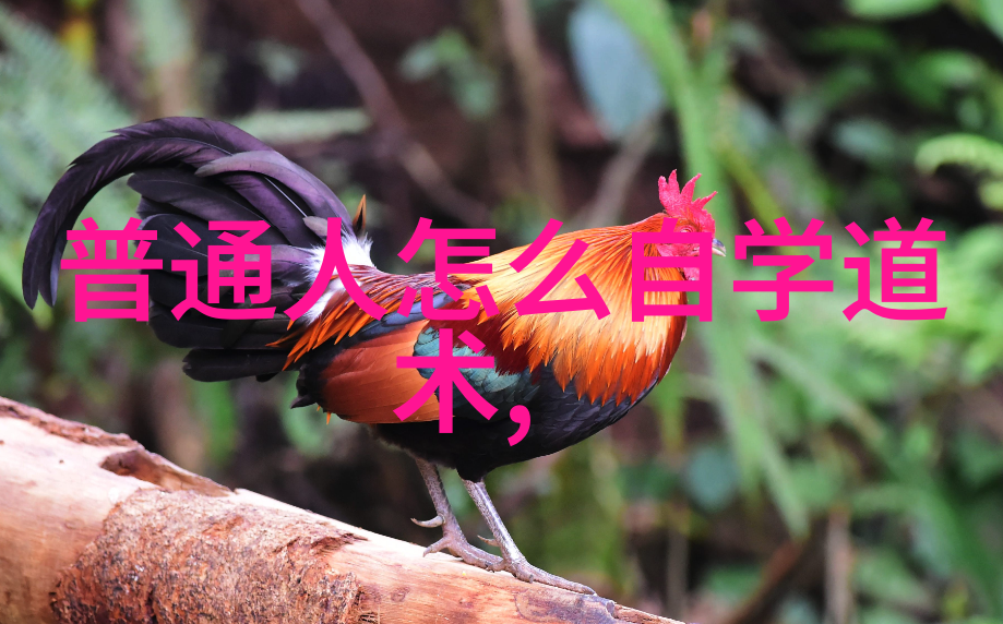 忘忧草影视WWW高清-梦回江湖探秘忘忧草影视WWW高清盛宴