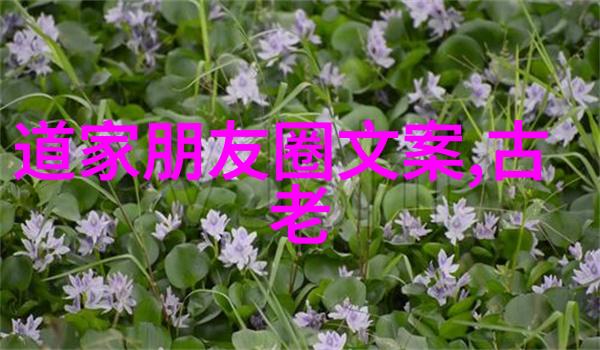 道教名人大全探索天地之源的修行者们