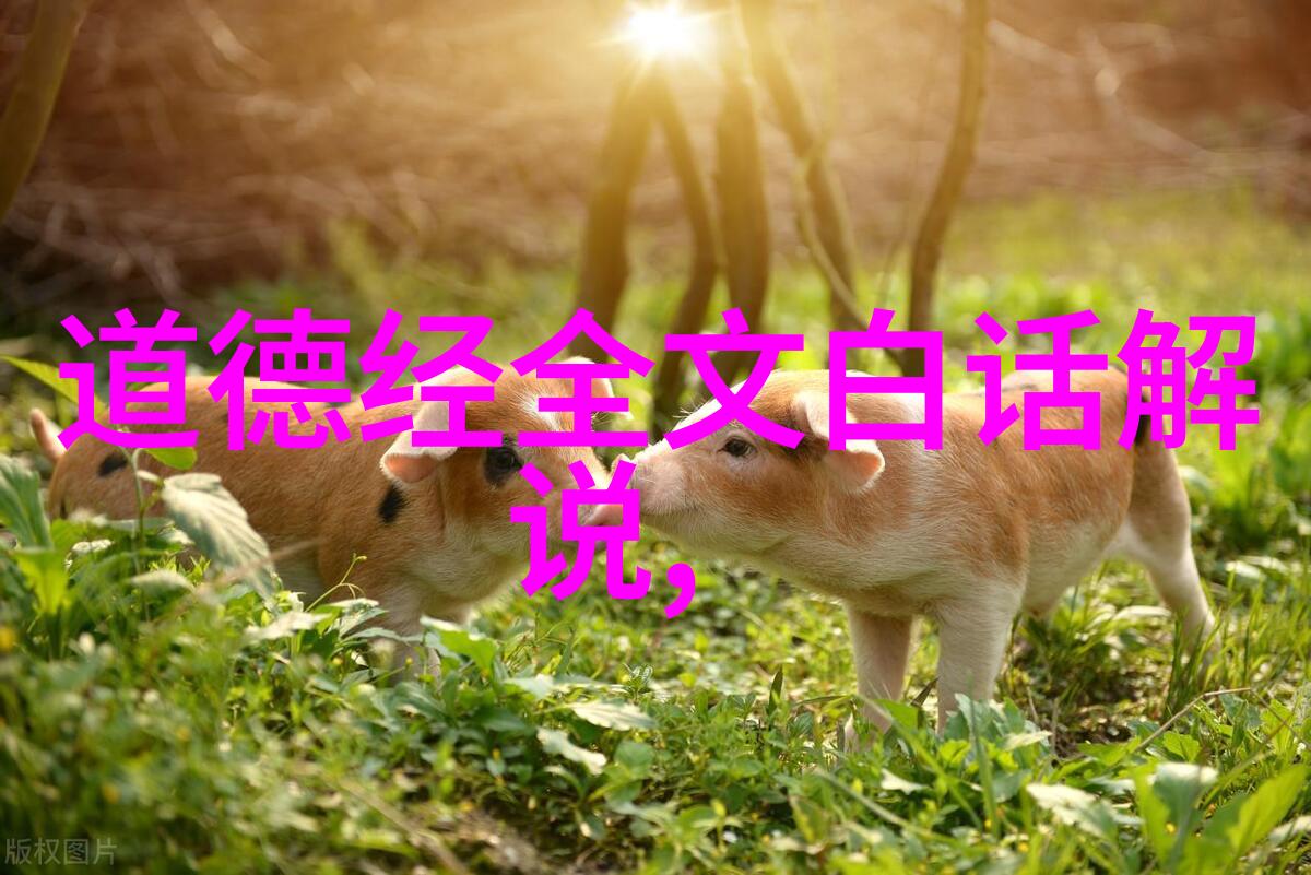 静心咒寻找内心平和的古老法术