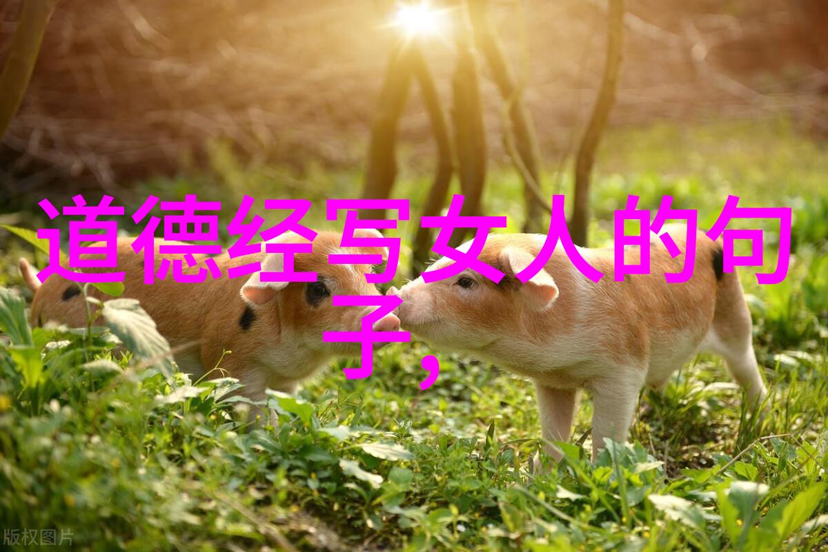 探索人类潜能的极限才会无所不有真的可能吗
