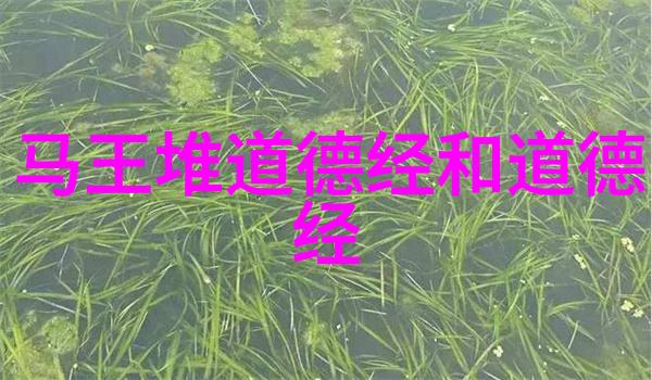 新高考语文现代诗歌答题方法深度解析与实用技巧