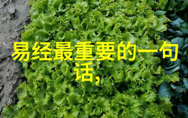 无为之人是什么样人我遇见的那位不着痕迹的英雄