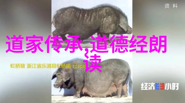 在学校里学习道德经的好处有哪些尤其是对于小学生来说