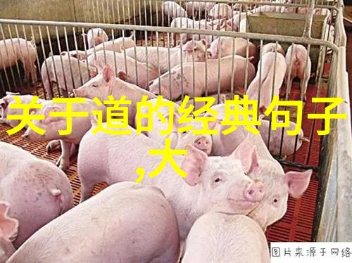 道家故事及其哲理揭秘三灾八难的迷雾之谜_天然道观