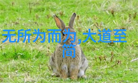 张三丰是道教创始人吗听我来慢慢聊