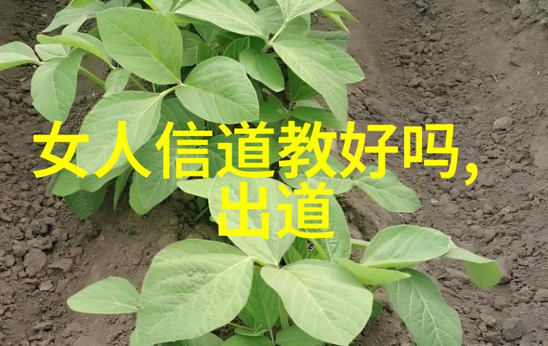 弘一法师之悟迷雾中的一抹曦光