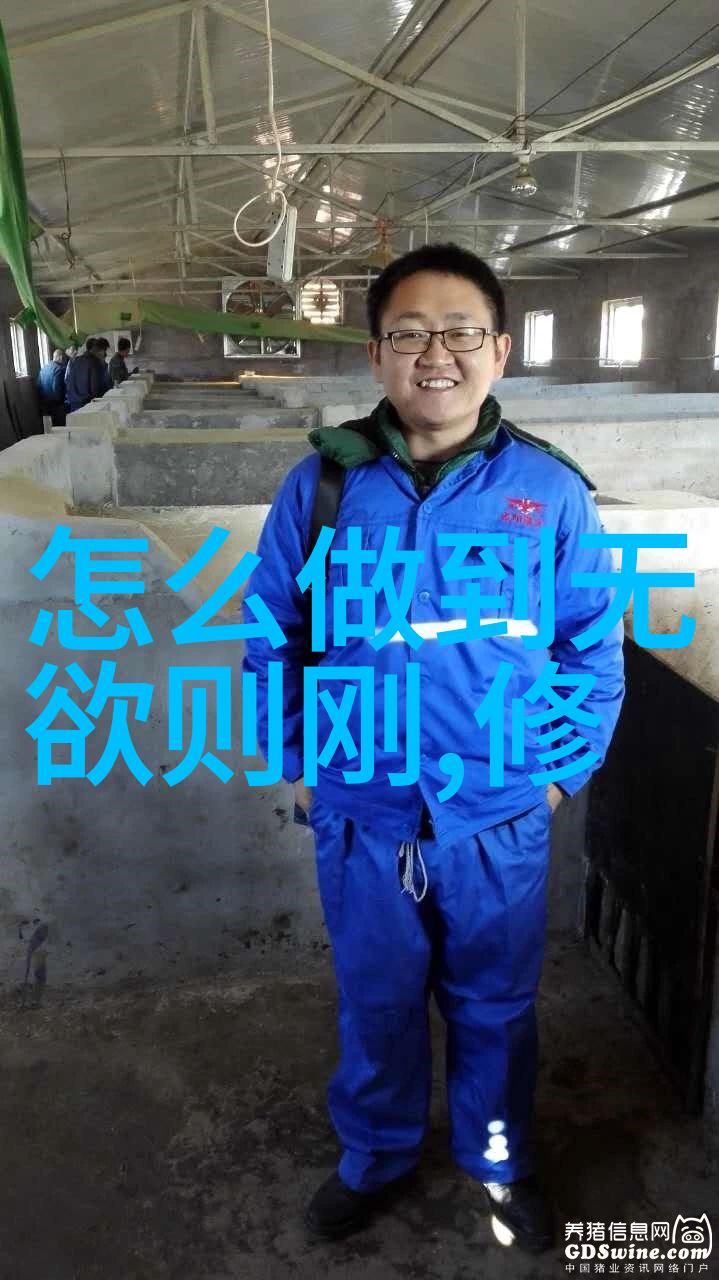 静修入门悟道之心法与实践路径