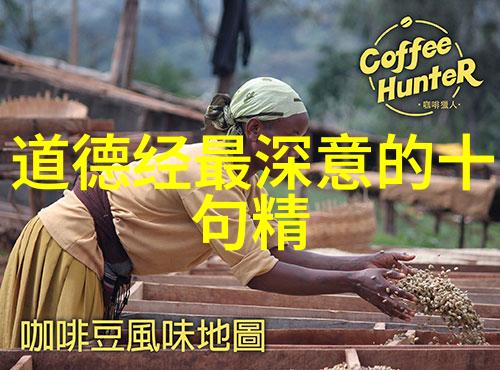 古诗鉴赏探秘揭秘文言世界中的艺术之韵
