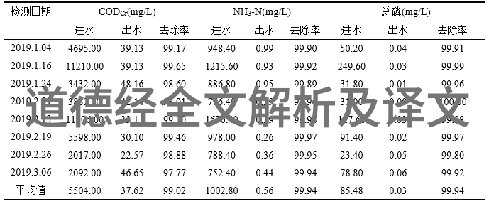 实干为先我是怎么在职场上通过实干赢得尊重的