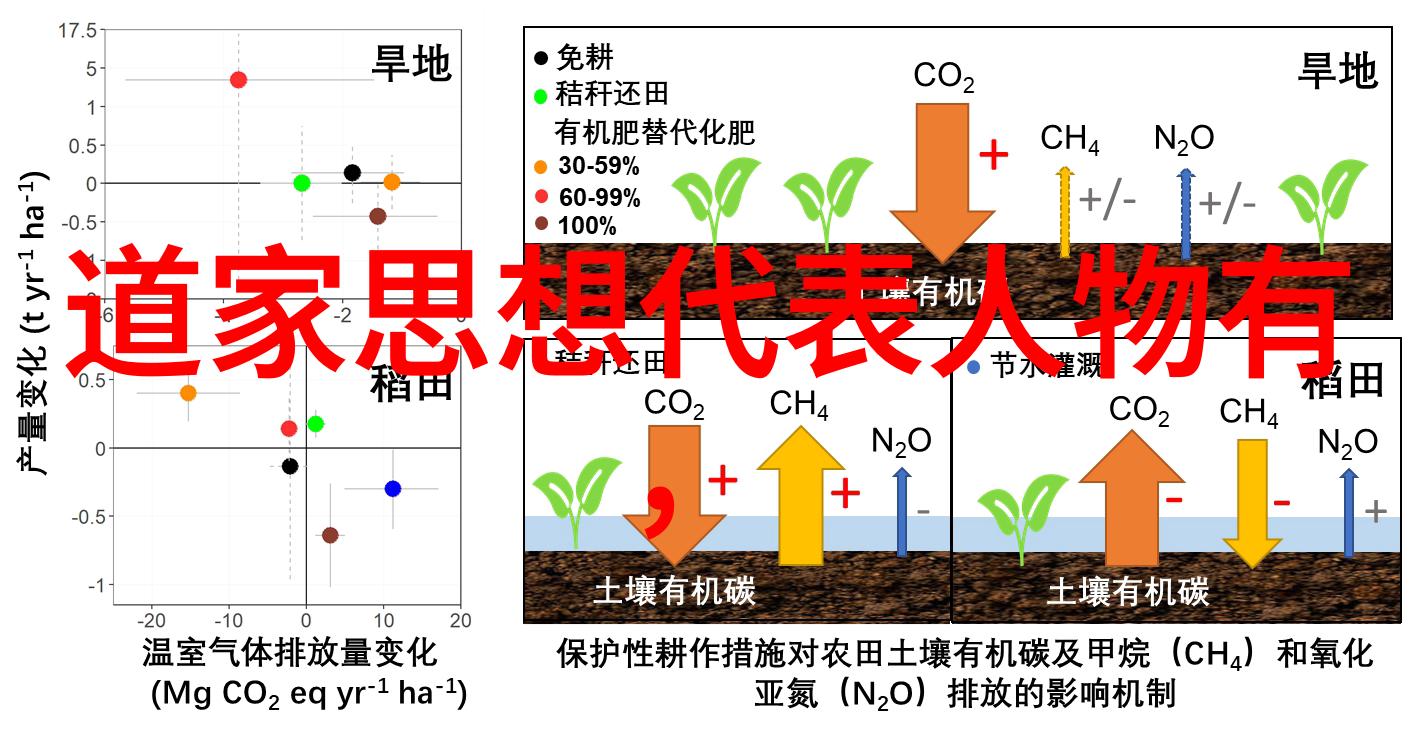 道家学说如何塑造中国传统文化的精神面貌