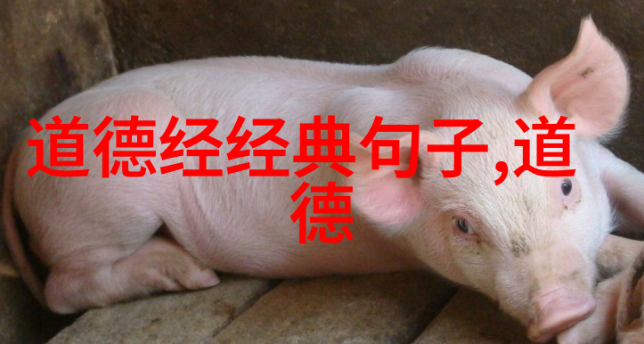 金丹大成功是指什么在道家修炼路上该如何实践呢