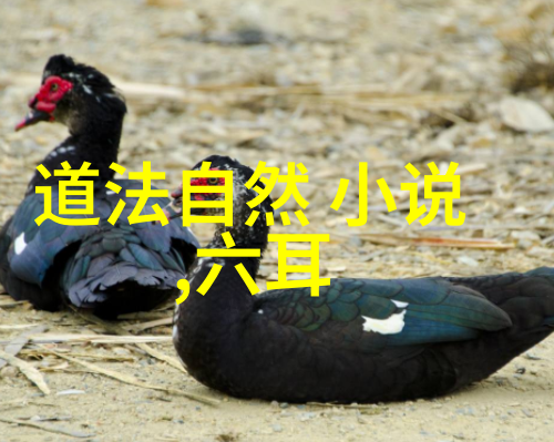 李洪志大师如何将现代人引入到学习传统的道家修炼中来