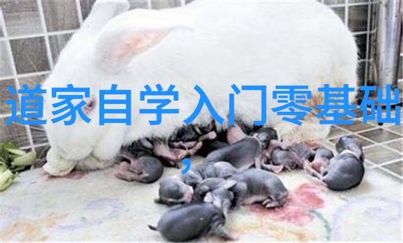 南宋将领岳飞抗金斗志与遗作回顾