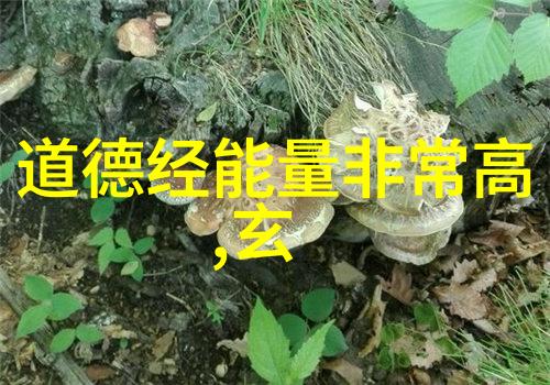 超越咒语的力量九字真言之谜