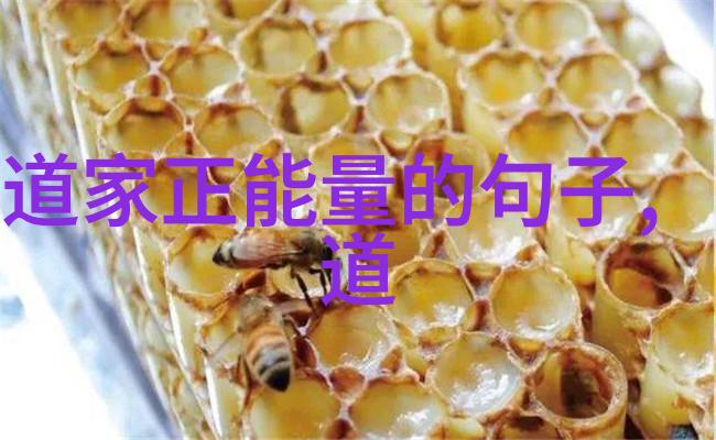 作品欣赏一览中国书法史上的杰作与奇观