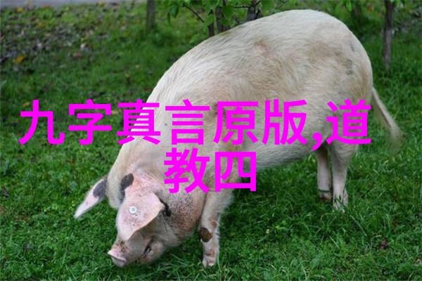 庄子无为而无不为道家智慧的生动诠释