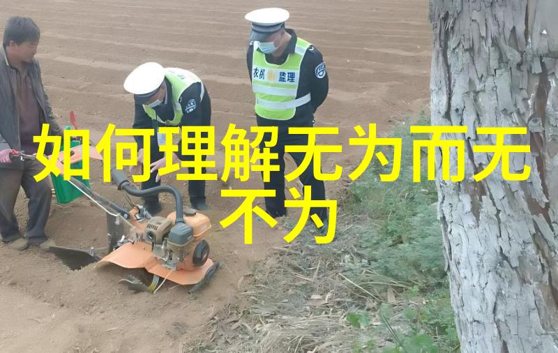 简单生活复杂心灵无为的深度探究