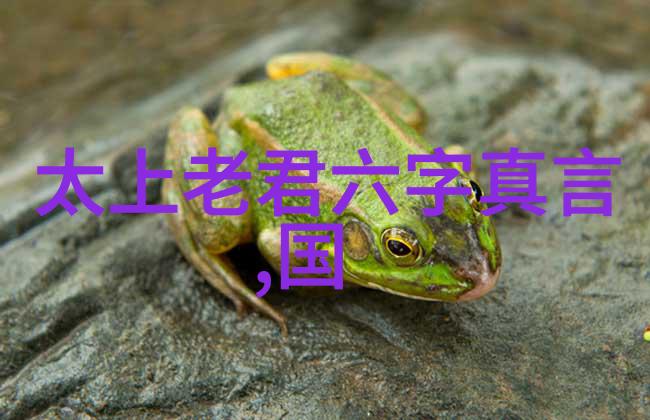 灵宝与法轮道家的符瑞与佛家的圣物比较析论