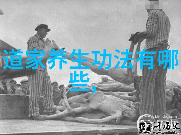 修道之旅探索心境与境界