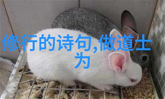 道德经1一81章全文拼音咱们一起回顾这部古典巨作