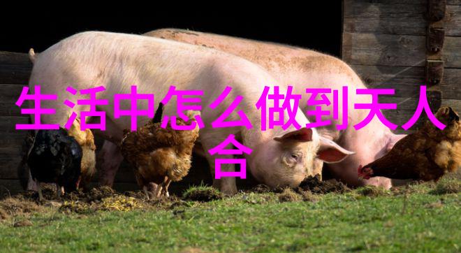 无为而治的智者他们如何在静默中掌控局势