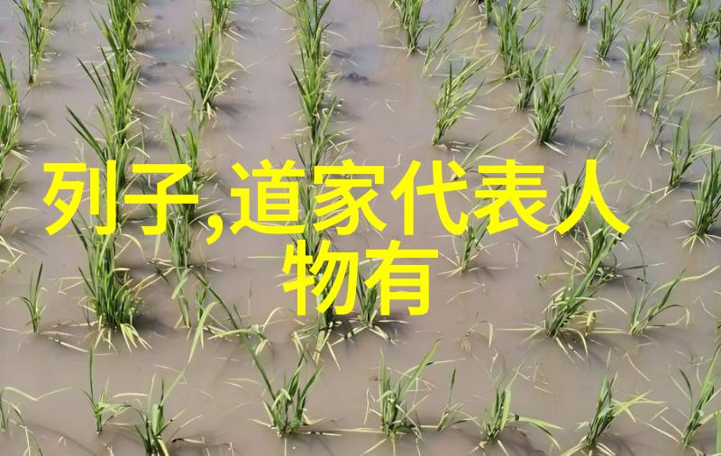 女性探讨化缘内涵揭秘女人口中的化缘究竟何意