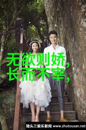 性恶论探究从原则到实践的道德哲学
