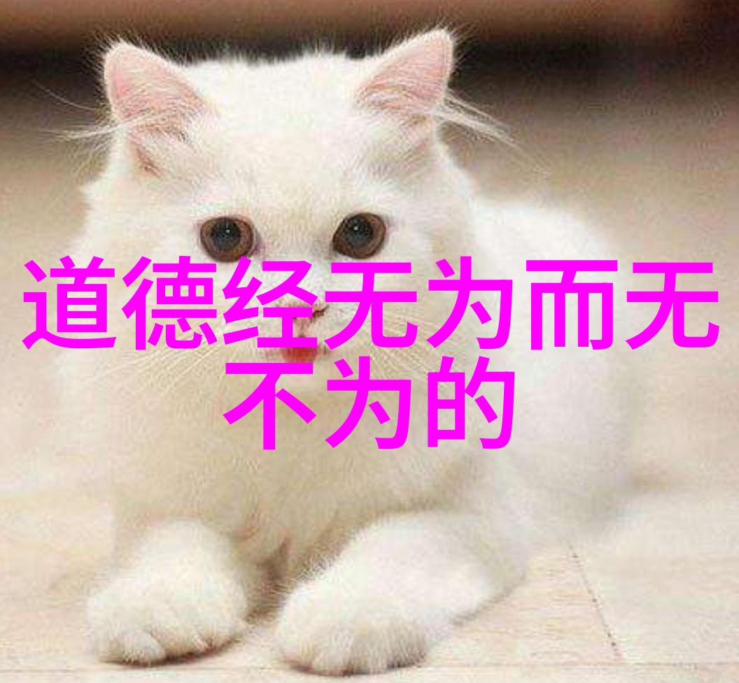 道家哲学的局限性有哪些我们如何从中寻找反驳的线索