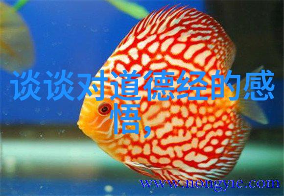 百折不挠的心态以及它在面对逆境时的作用力度