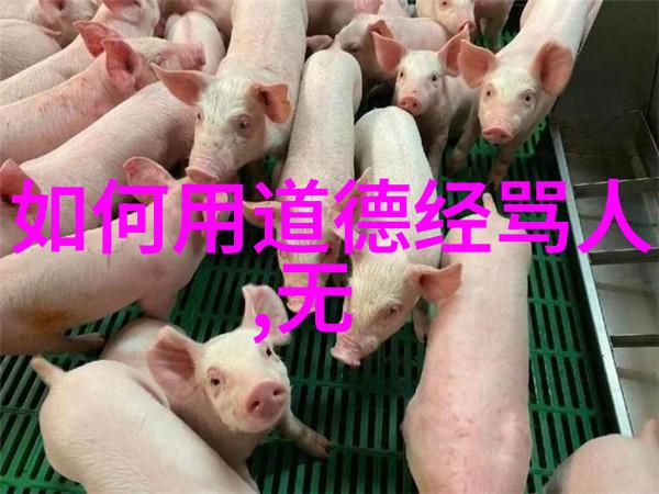 修行之路上的先驱者们了解那些在中国文化中扮演重要角色的人物