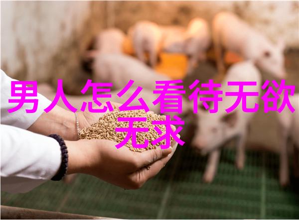 修行之诗心境与技艺的双重磨练